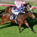 Magicool jets to Brisbane for Queensland Derby Magicool jets to Brisbane for Queensland Derby